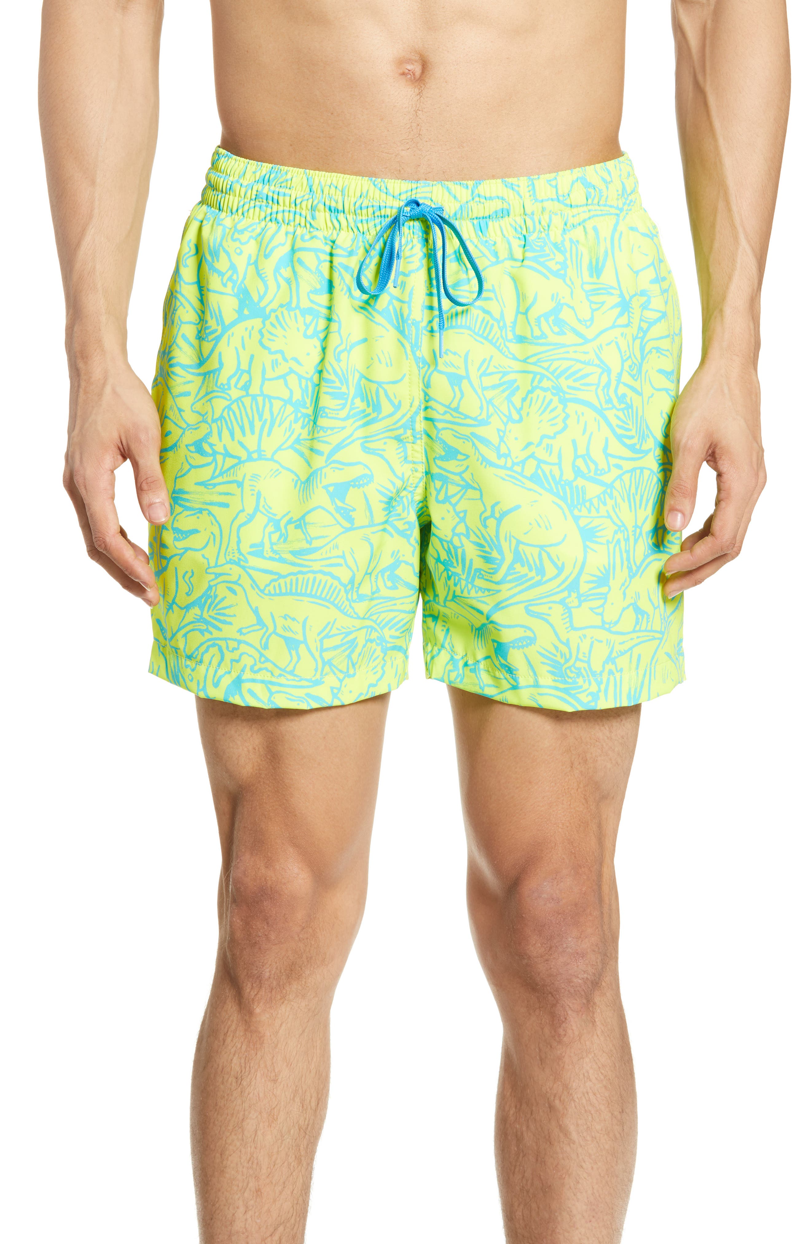 chubbies dinosaur swim trunks