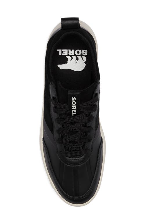 Sorel Ona 503 Low Top Platform Sneaker In Black/chalk