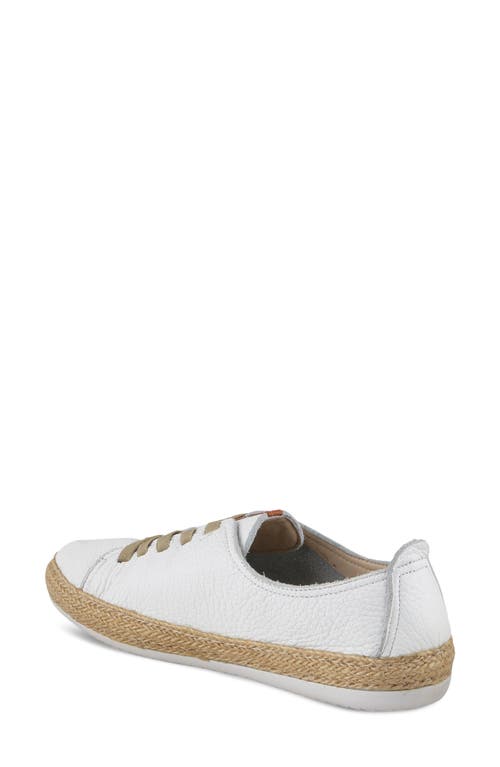 Shop Spring Step Eloya Low Top Sneaker In White