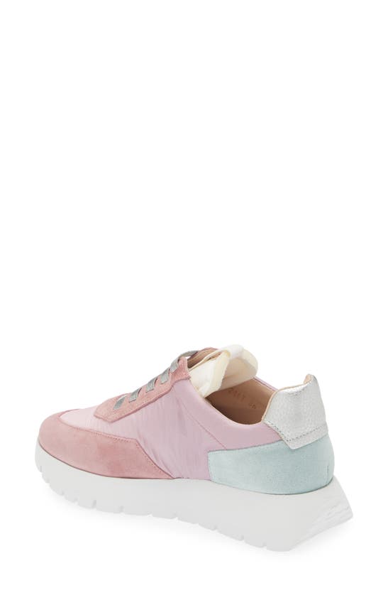 Shop Wonders Odisei Sneaker In Trend Blush Aqua