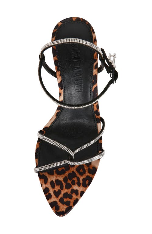 Shop Steve Madden Stellina Ankle Strap Sandal In Leopard