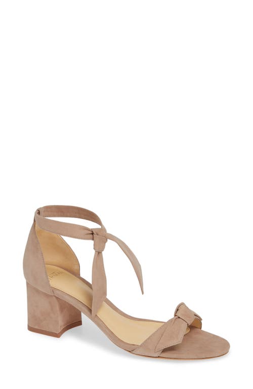 Clarita Block Heel Sandal in Cameo Suede