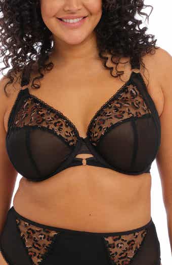  Elomi Women's Plus Size Morgan Underwire Banded Stretch Lace  Bra, Sahara, 32K : Clothing, Shoes & Jewelry