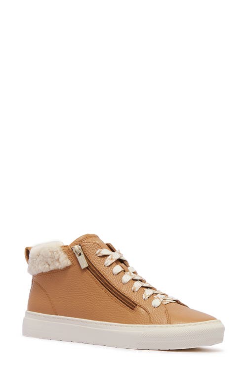 FRANKIE4 Miles Genuine Shearling Lined Sneaker in Tan 