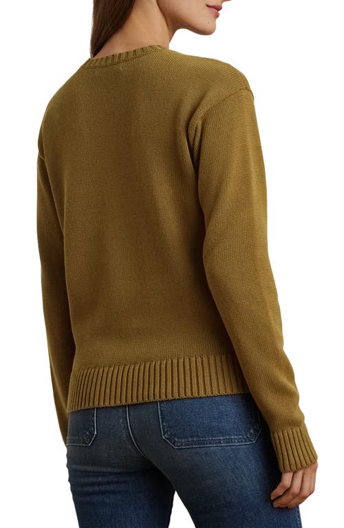 Shop Lauren Ralph Lauren Intarsia Beagle Cotton Sweater In Honey Tan