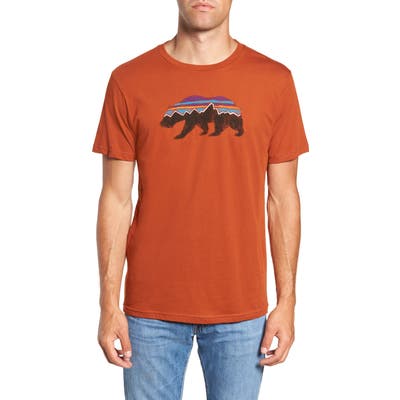 Patagonia Fitz Roy Bear Organic Cotton Crewneck T-Shirt