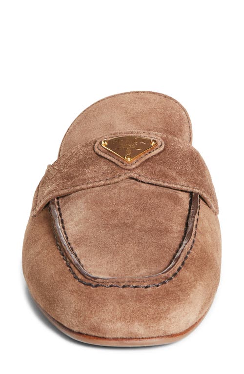 Prada Logo Loafer Mule In Cannella