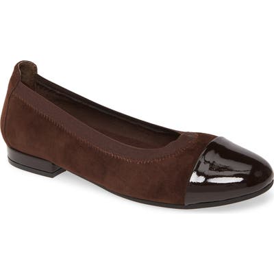David Tate Nicole Cap Toe Flat, WW - Brown