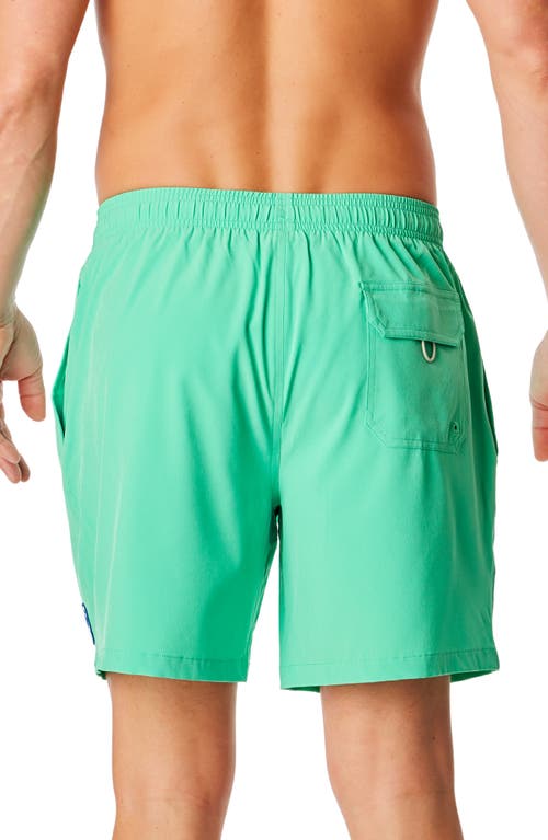 Life Is Good Jake Solid Boardshorts In Modern Mint