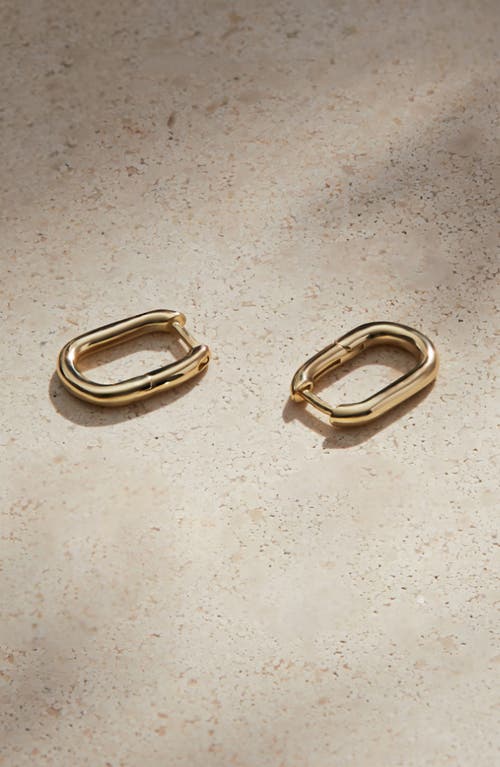 Shop Ana Luisa Gold Hoop Earrings