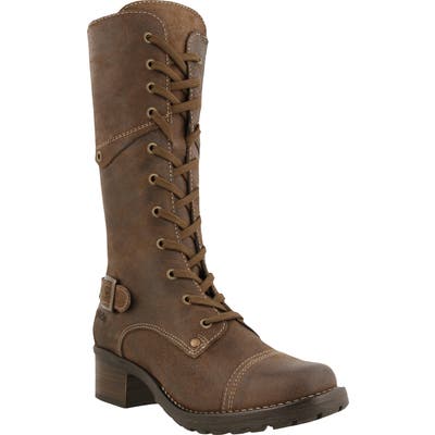 Taos Crave Tall Boot, Brown