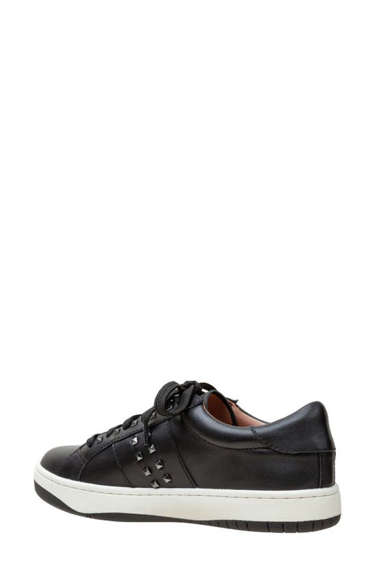 Linea Paolo Kerry Sneaker In Black