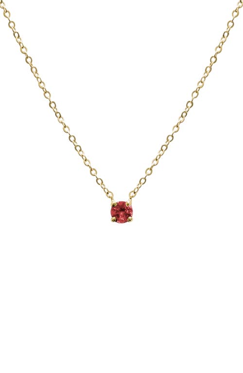Jane Basch Designs Birthstone Pendant Necklace in Garnet/January