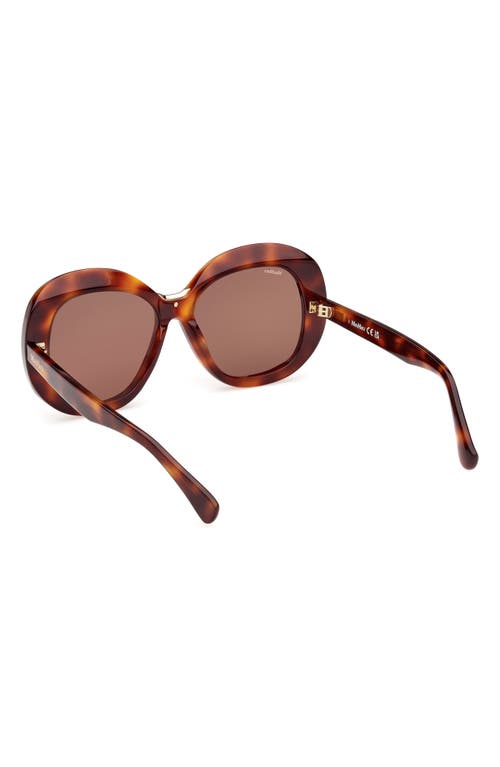 Shop Max Mara Edna 55mm Round Sunglasses In Dark Havana/brown