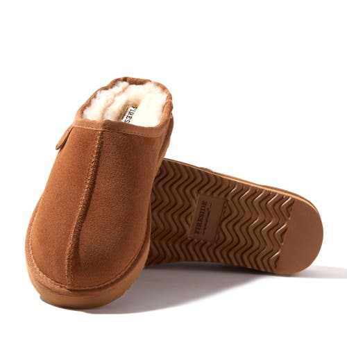 Dearfoams Fireside Greta Genuine Shearling Clog Slipper In Chestnut