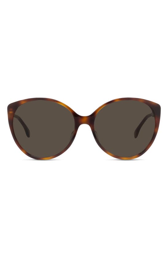 Fendi The  Fine 59mm Round Sunglasses In Brown