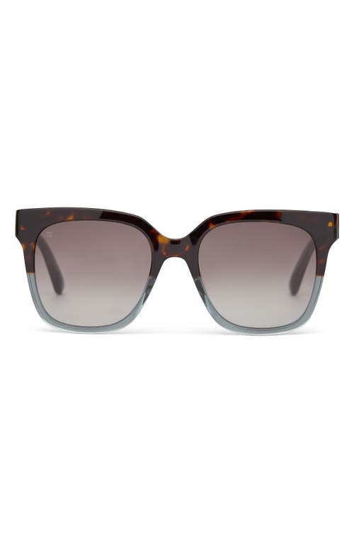 TOMS Natasha 53mm Polarized Square Sunglasses in Tortoise Ocean Grey Fade 