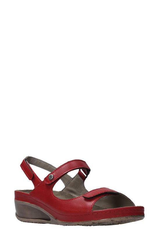 Shop Wolky Pica Slingback Wedge Sandal In Red Biocare
