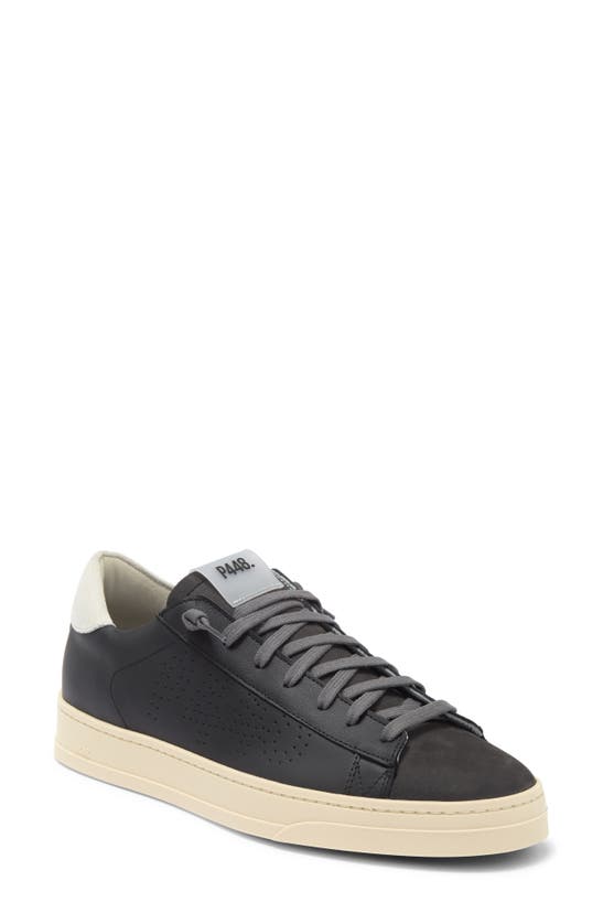 P448 Jack Sneaker In Spider/ Black