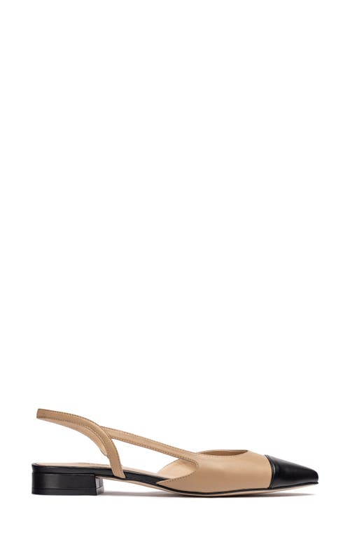 Shop Jon Josef Rio Slingback Pointy Cap Toe Flat In Black/tan Combo