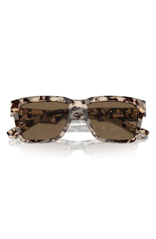 Dolce & Gabbana 55mm Pilot Sunglasses in Dark Brown at Nordstrom