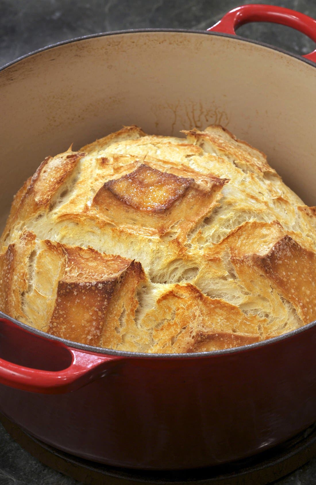 LE CREUSET,
                            Signature 9 Quart Round Enamel Cast Iron French/Dutch Oven,
                            Alternate thumbnail 4, color,
                            900