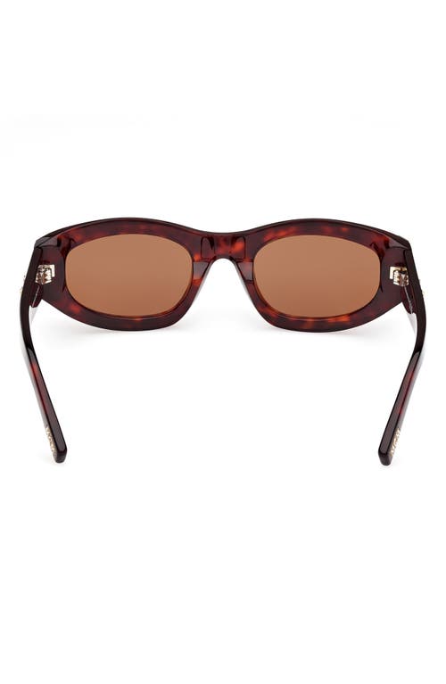 Shop Mcm 53mm Oval Sunglasses In Dark Havana/roviex