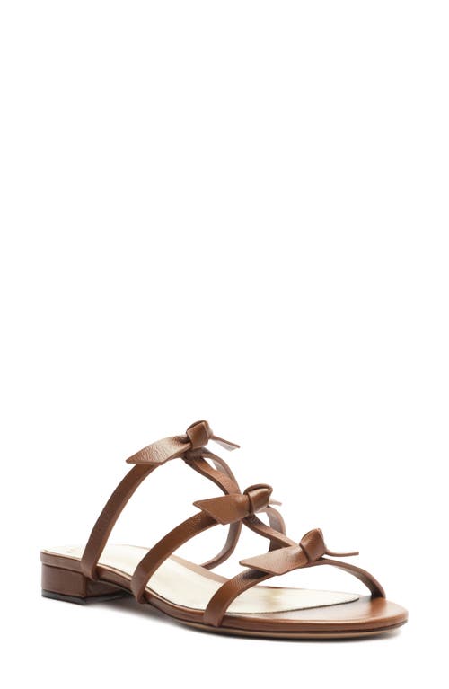 Alexandre Birman Slim Lolita Slide Sandal in Espresso 