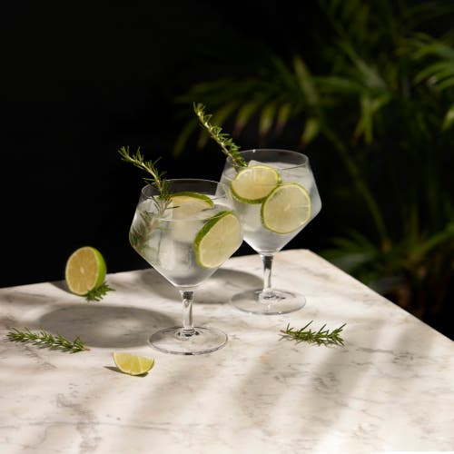 Viski Raye Crystal Angled Gin & Tonic Glasses Set Of 2 In Clear