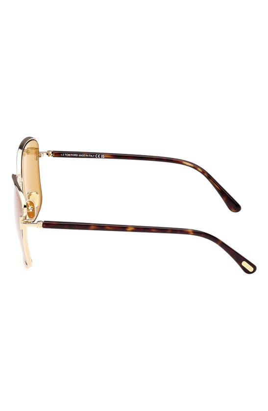Tom Ford 57mm Square Sunglasses In Gold / Brown