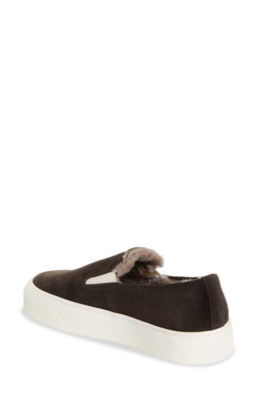 Shop Common Projects Suede & Genuine Shearling Slip-on Sneaker In Coffee