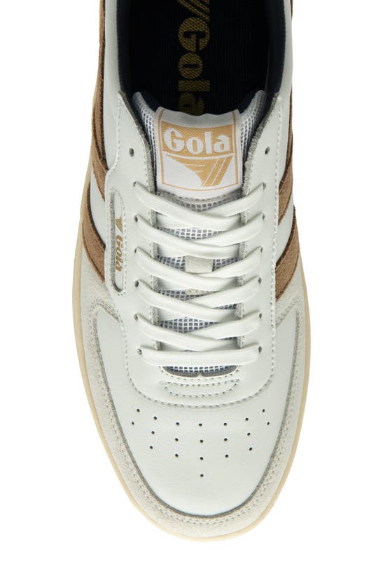Shop Gola Hawk Sneaker In White/ Tobacco/ Navy