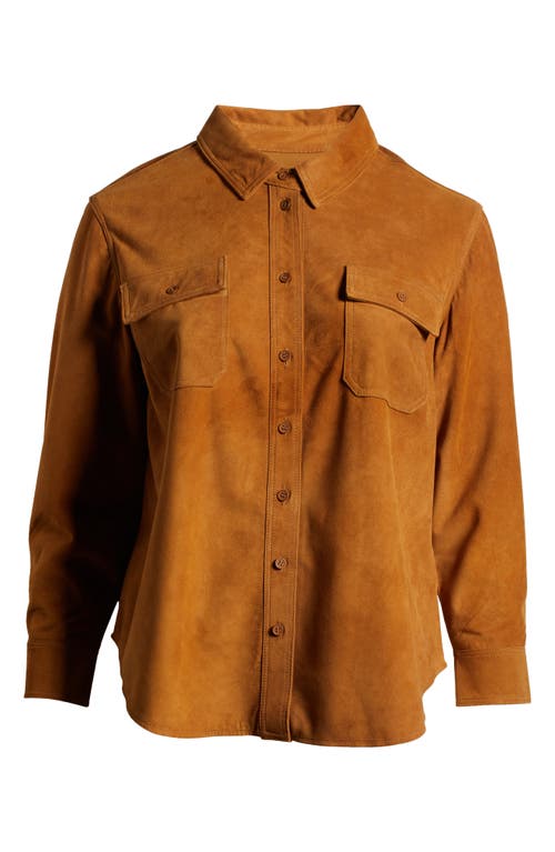 Shop Universal Standard Greenwich Suede Shirt Jacket In Burnt Ochre