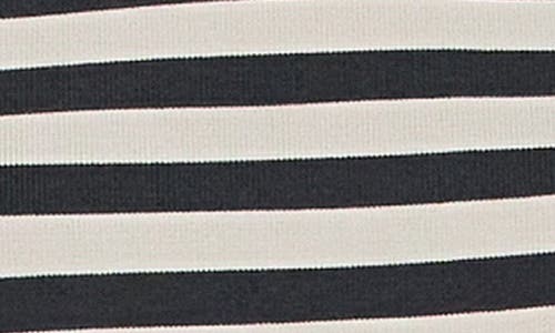 Grey Lab Stripe Crop Tank In Beige/black