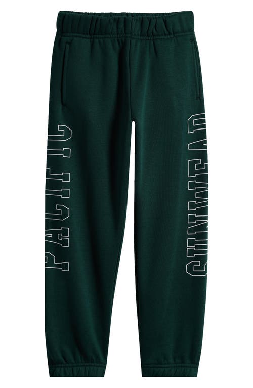 Shop Pacsun Kids' Logo Outline Sweatpants In Pine Grove