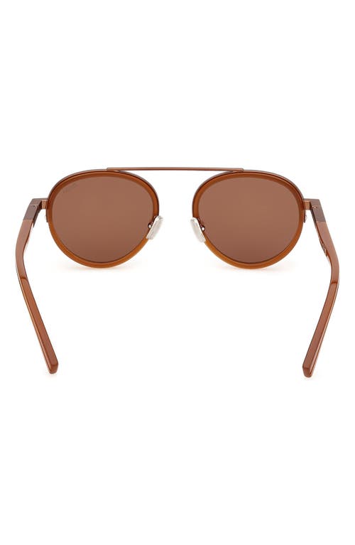 Shop Zegna 51mm Round Sunglasses In Shiny Light Brown/brown