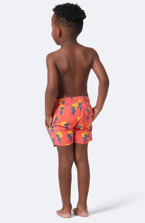 Shop Tom & Teddy Kids' Cactus Swim Trunks In Deep Rose