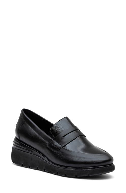 ara Blair Wedge Loafer in Black