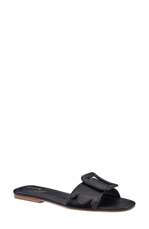 Kiwi Slide Sandal in Black Leather
