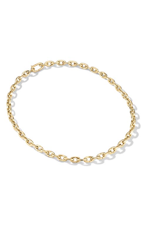 Cast The Baby Brazen Chain Necklace in Gold at Nordstrom, Size 17