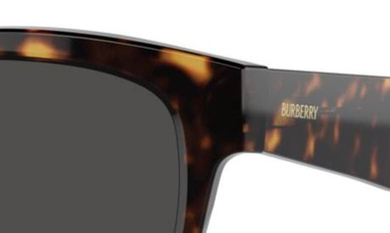 Shop Burberry 54mm Round Sunglasses In Dark Havana