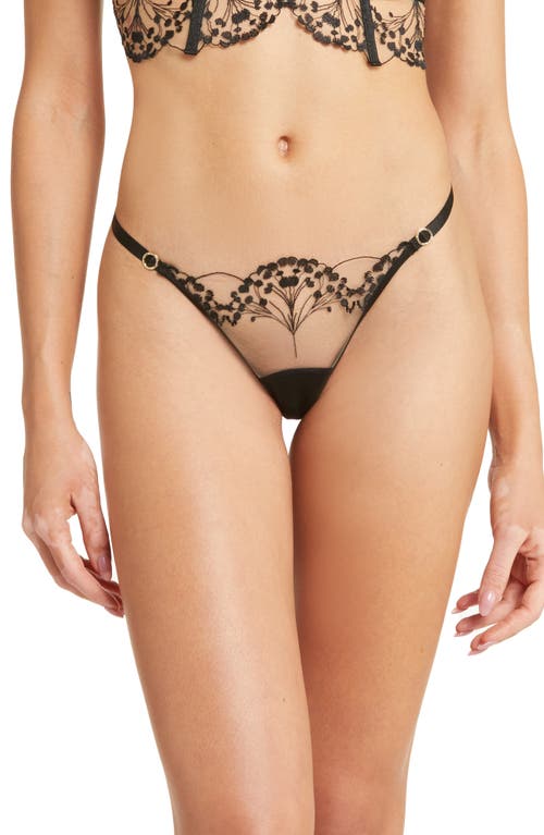 Bluebella Marisa Embroidered Mesh Thong in Black/sheer at Nordstrom, Size Xx-Large