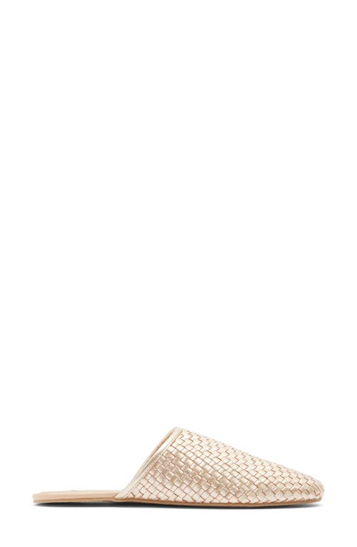 Shop Steve Madden Sallie Mule In Gold Leather