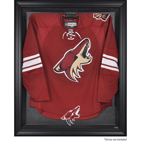 Lids Florida Panthers Fanatics Authentic (1993-2016) Framed Logo Jersey  Display Case