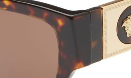 Shop Versace Phantos 55mm Cat Eye Sunglasses In Havana/dark Brown