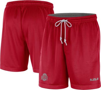 Lebron james nike best sale shorts