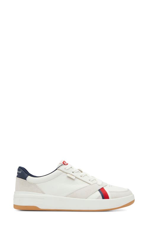 Keds ® X Recreational Habit The Court Sneaker In White/multi Leather