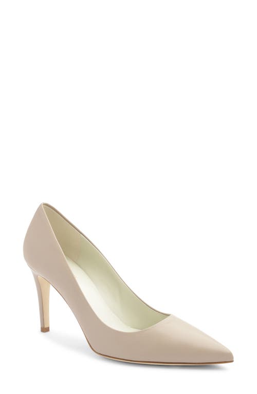 Bruno Magli Telma Pointed Toe Pump in Nude Calf at Nordstrom, Size 11