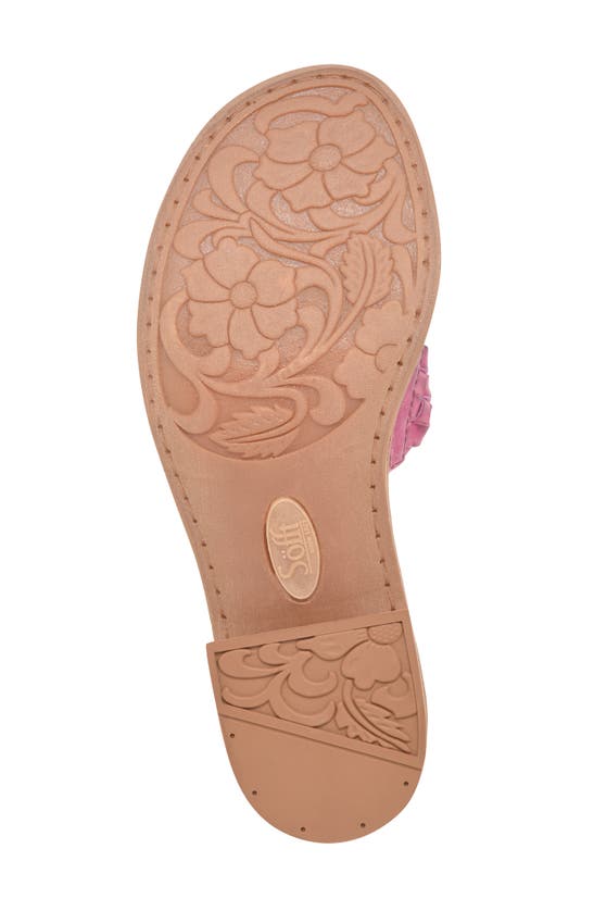 Shop Söfft Ardee Slide Sandal In Pink