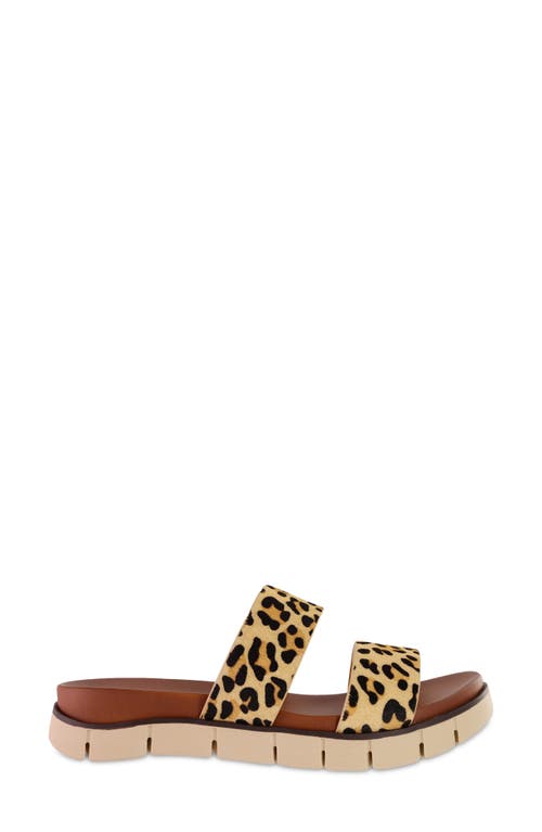 Shop Mia Elori Calf Hair Slide Sandal In Tan/brown